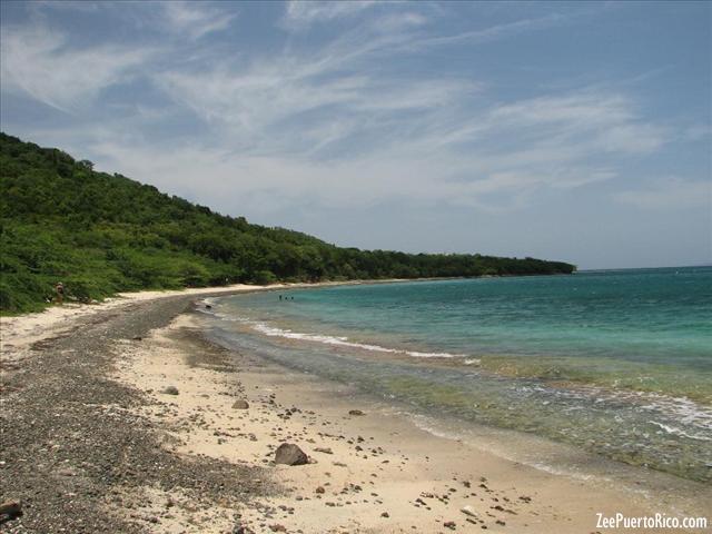 Zeepuertorico Com Tamarindo Beach