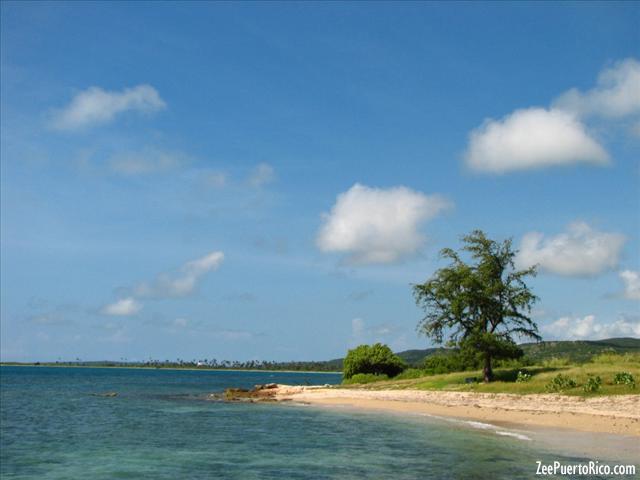 Zeepuertorico Com Tamarindo Guanica Beach