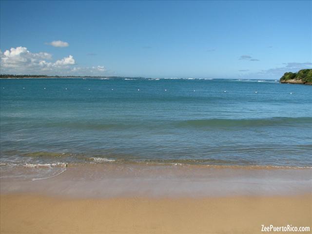 ZeePuertoRico.com - Vacia Talega