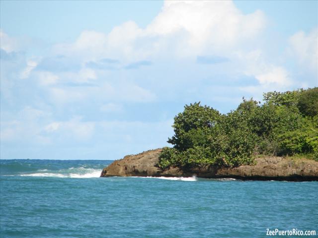 ZeePuertoRico.com - Vacia Talega
