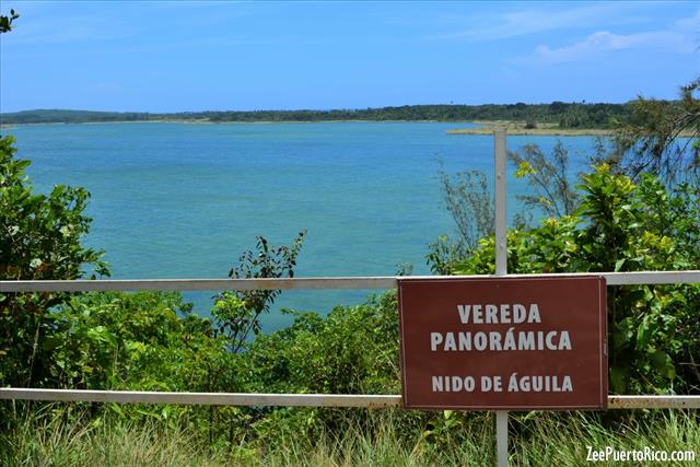 Tortuguera laggon ovalada - Vego